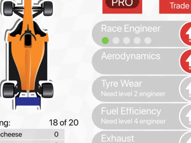 Apex Race Manager 2019