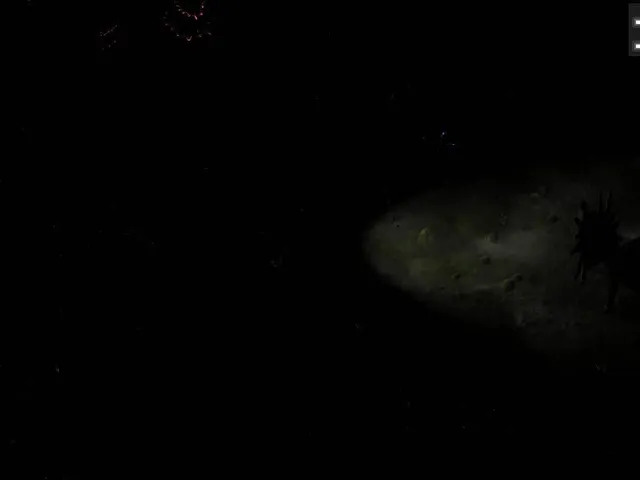 Arcturus