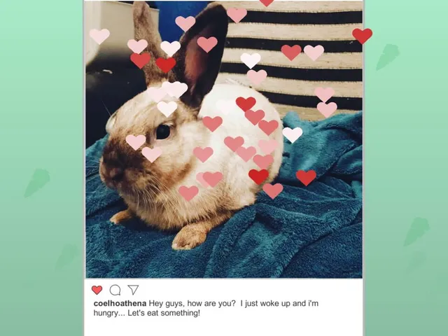 Athena, the rabbit: Jigsaw Puzzle