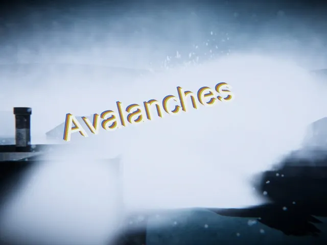 Avalanches