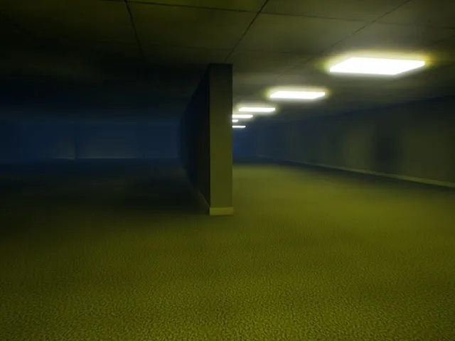 Backrooms VS