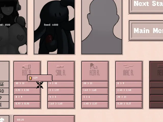 Bankrupt Heroines