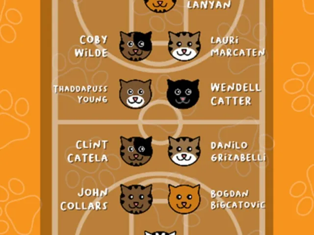 Bascatball Coach