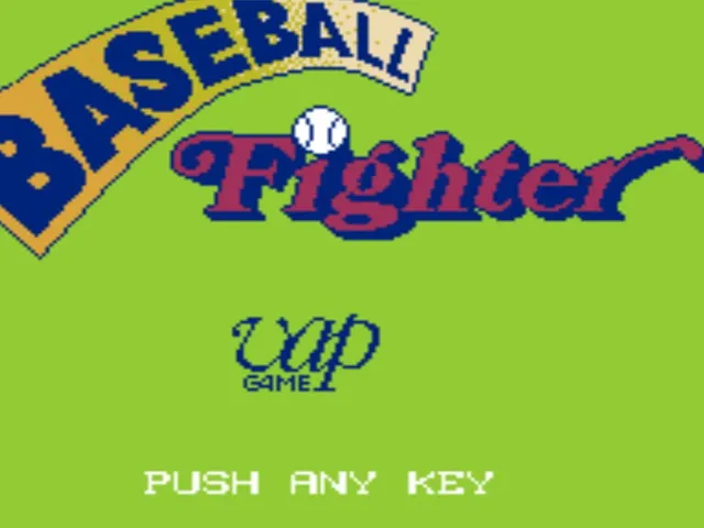 Baseball Fighter