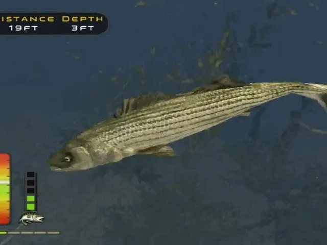 Bass Pro Shops: The Strike
