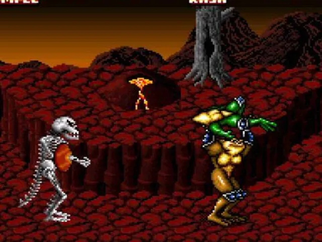 Battletoads In Battlemaniacs