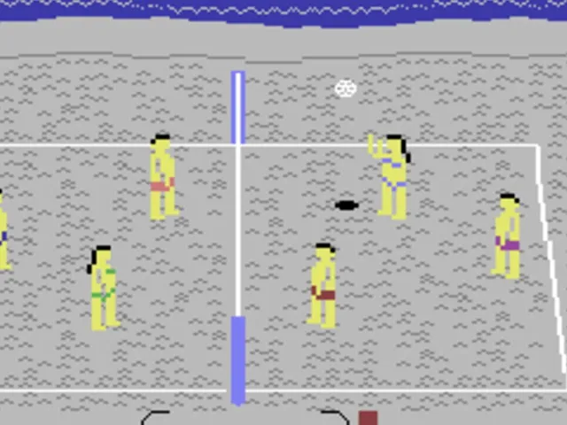 Beach Blanket Volleyball