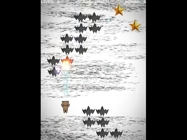 Bear Shooter