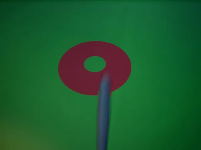 Beat Around the Bush