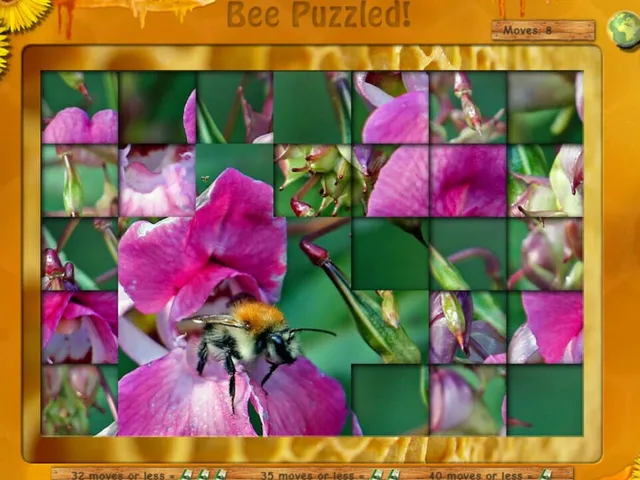 Bee Aware!