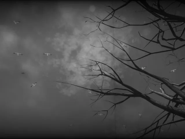 Before Dawn