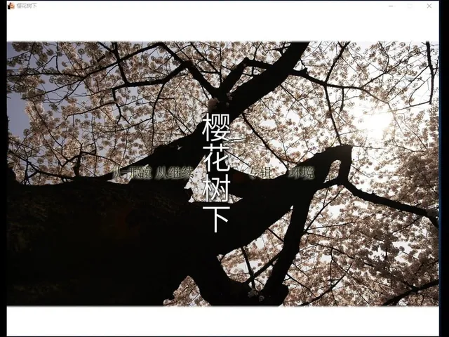 Beneath the Cherry Trees