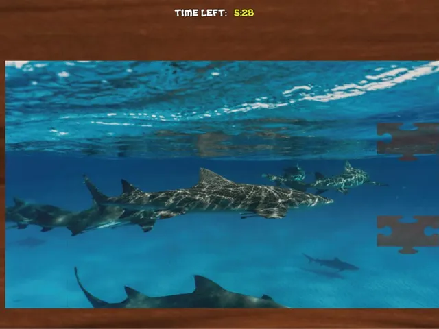 Bepuzzled Jigsaw Puzzle: Aquatic
