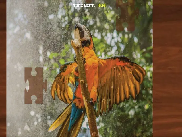 Bepuzzled Jigsaw Puzzle: Paradise