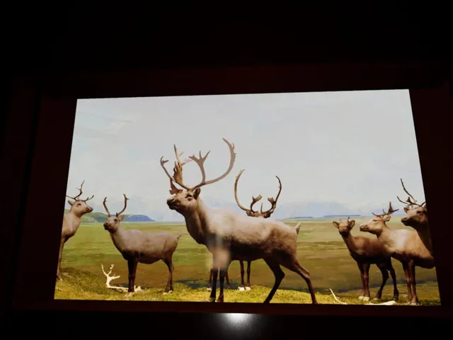 Beyond the Diorama: Caribou World