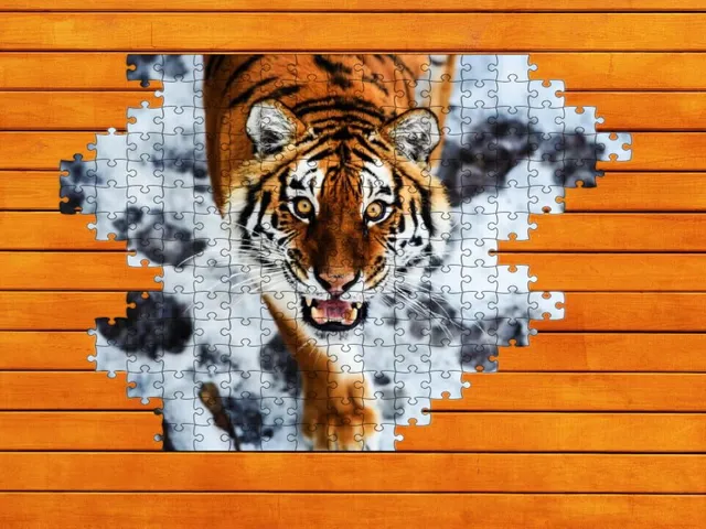 Big Cat Jigsaw Quest