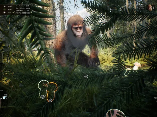 Bigfoot Life