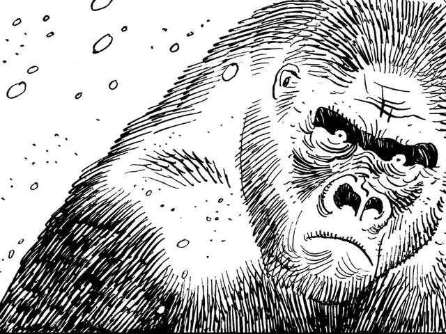 Bigfoot's Journey