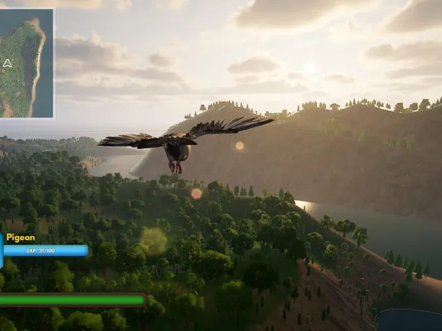 Bird Game 3