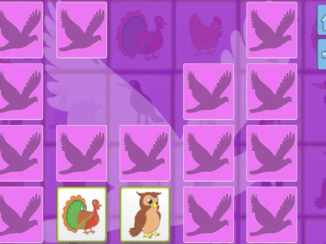 Bird Memory