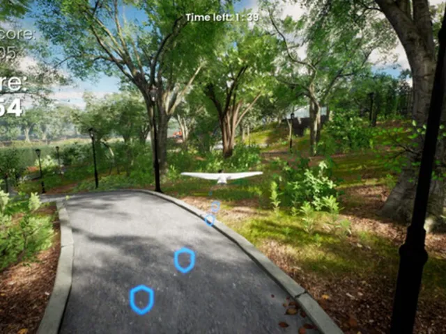 Bird Simulator 24