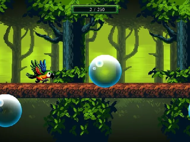 Birds Adventure