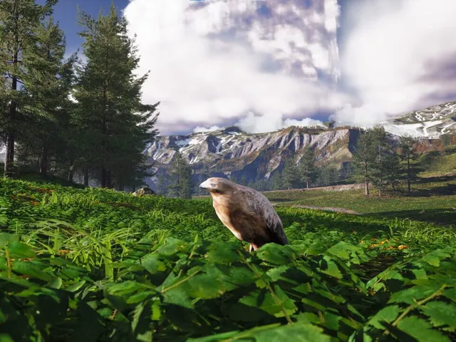 Bird's Eye Odyssey