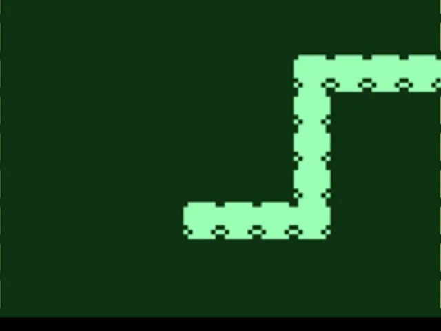 Bitsnake