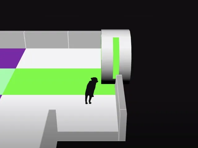 Black Cat Explores Minds