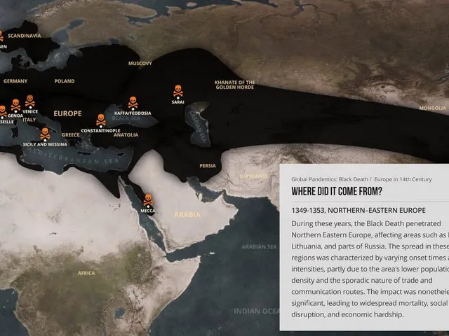 Black Death Interactive