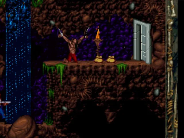 Blackthorne