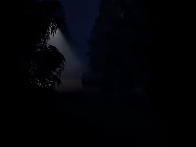 Blackwood: Beneath the Silence