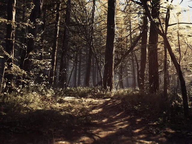Blair Witch