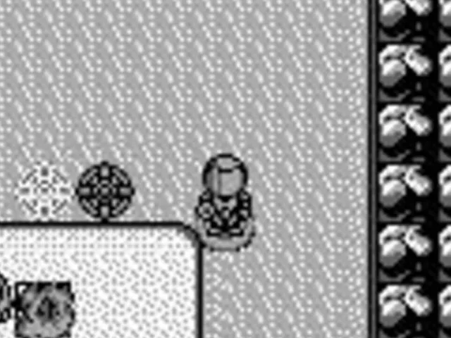 Blaster Master Boy