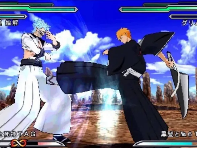 Bleach: Heat the Soul 4