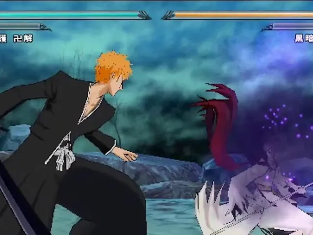 Bleach: Heat the Soul 6