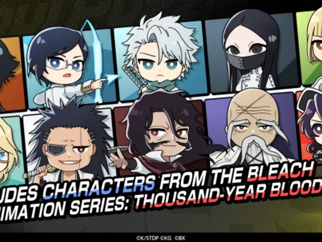 Bleach: Soul Puzzle