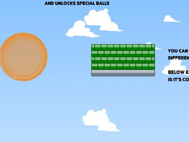 Blosics 2