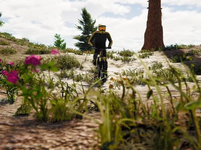 BMX Wild Run
