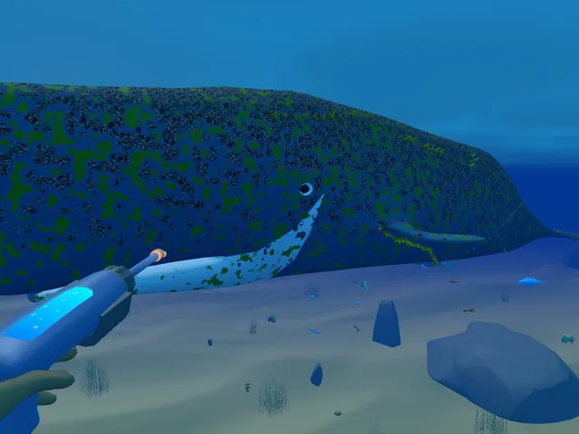 Bodian's Bay Wash