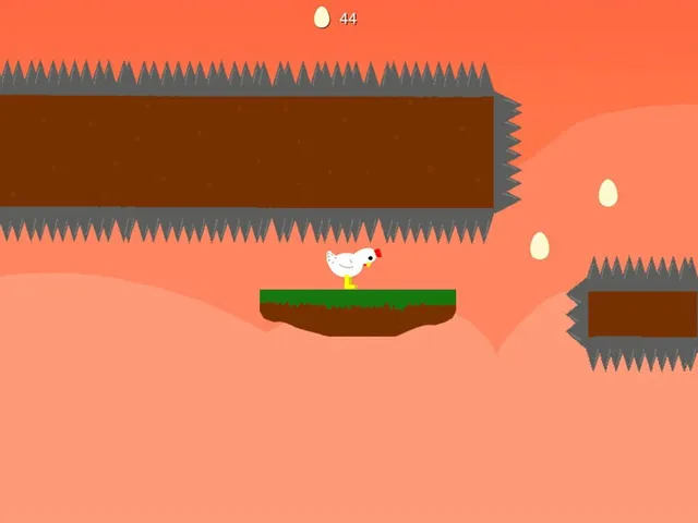Bok
