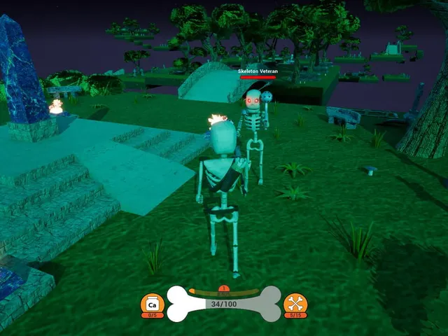 Bony Bones Adventures