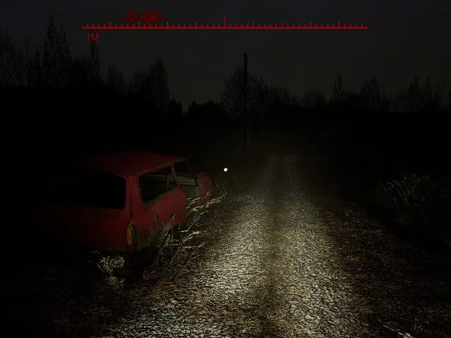 Borderline Homicide