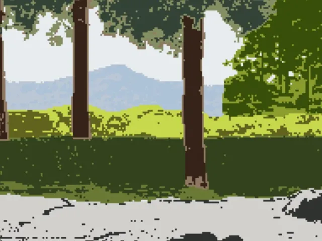 Borrowed Landscapes