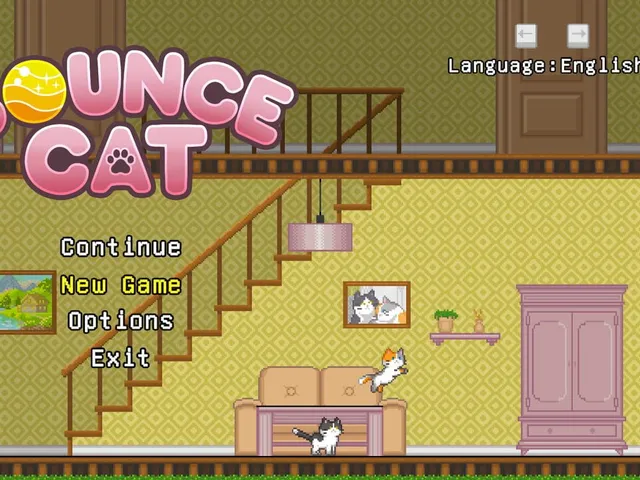 Bounce Cat