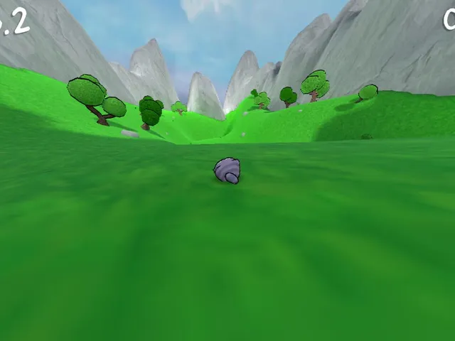 Bouncy Cat