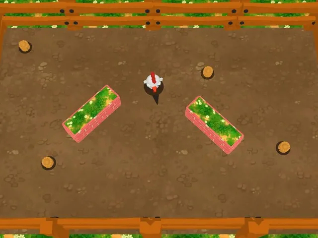 Bouncy Chicken