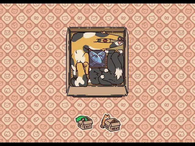 Box Cats Puzzle