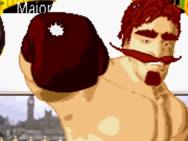 Boxing Fever