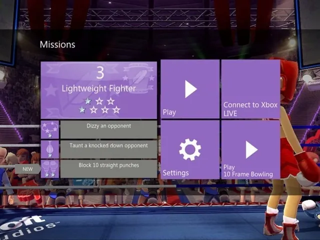 Boxing Fight